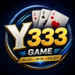 Y333 Game